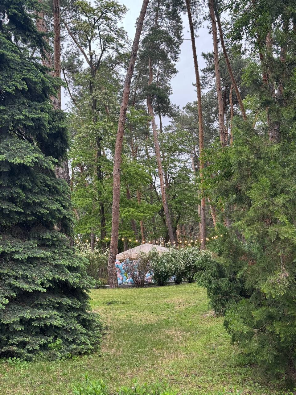 Дача Горця — галерея